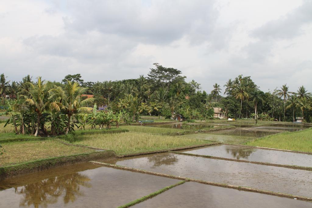 Villa Kami Ubud מראה חיצוני תמונה